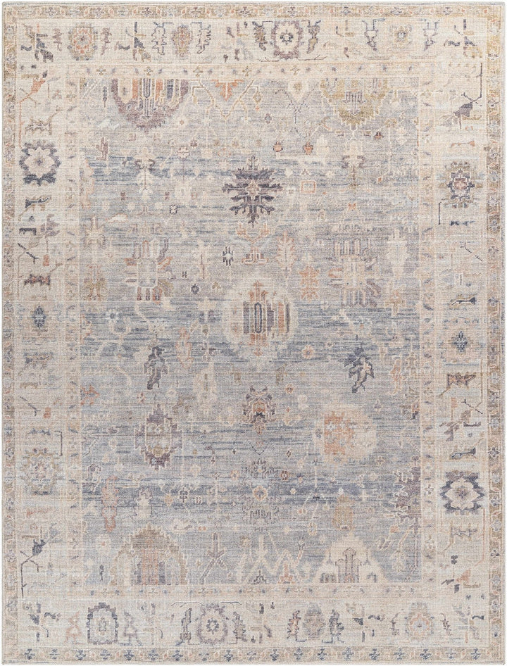 Traditional Style Cream & Blue Area Rug - The Rug Decor