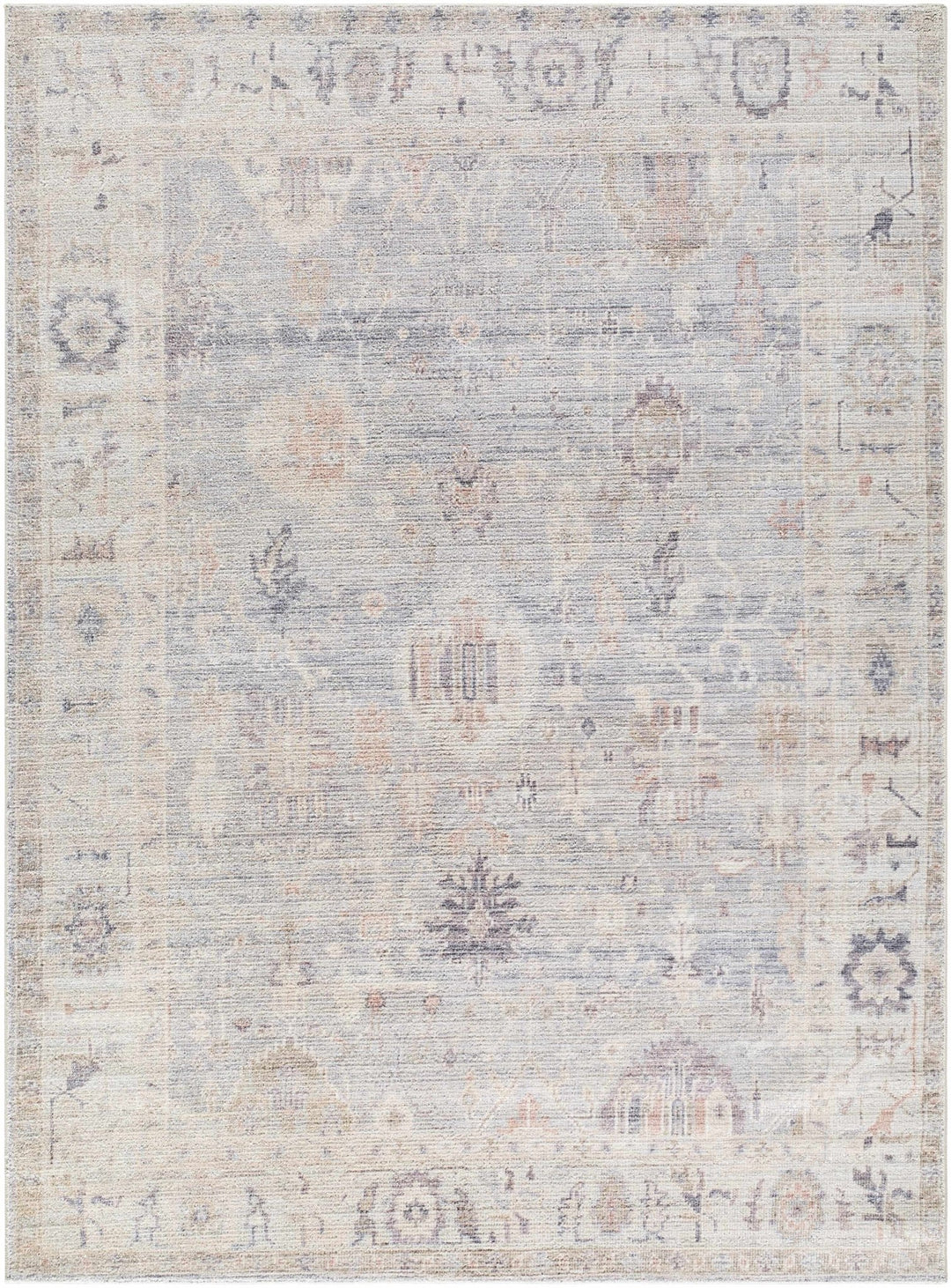 Traditional Style Cream & Blue Area Rug - The Rug Decor