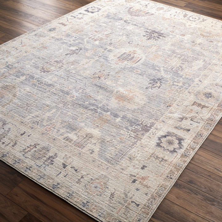 Traditional Style Cream & Blue Area Rug - The Rug Decor