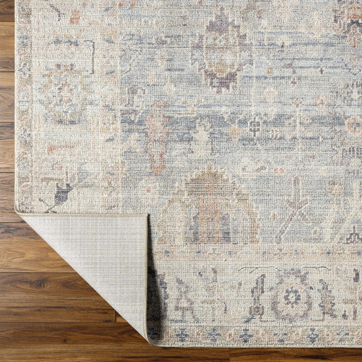 Traditional Style Cream & Blue Area Rug - The Rug Decor