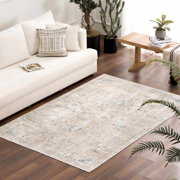 Traditional Style Cream Holi - 4600 Washable Area Rug - The Rug Decor