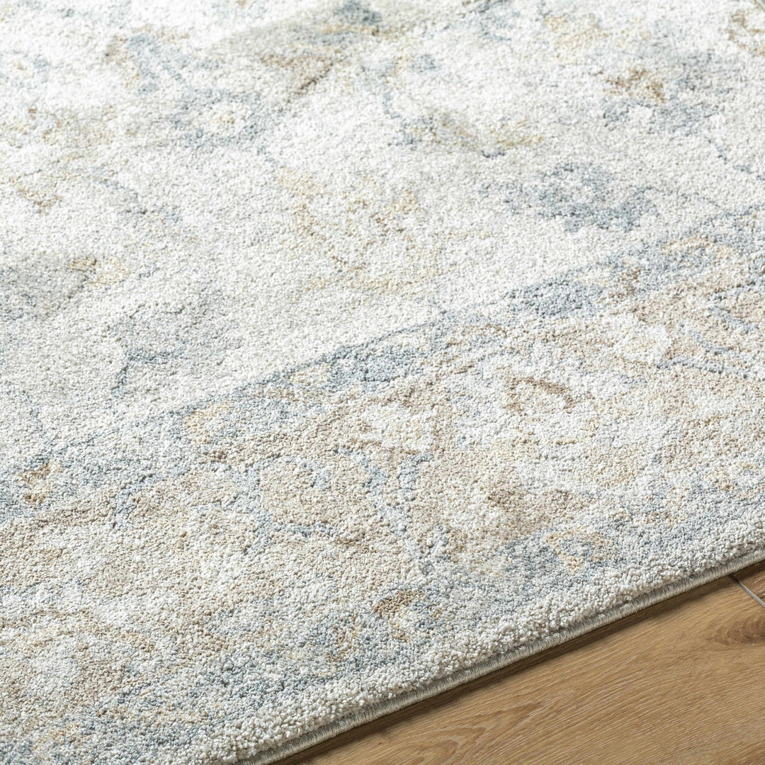 Traditional Style Gray And Beige Machine Woven Rug - The Rug Decor