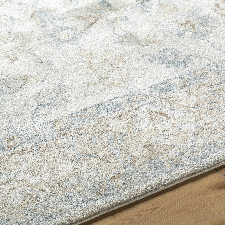 Traditional Style Gray And Beige Machine Woven Rug - The Rug Decor