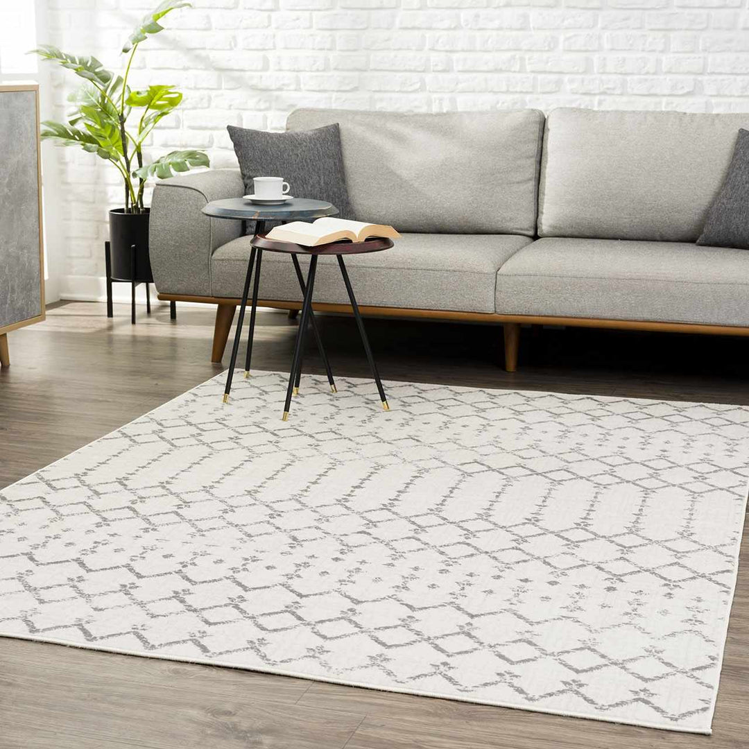 Traditional Style Gray And Ivory Rug - The Rug Decor