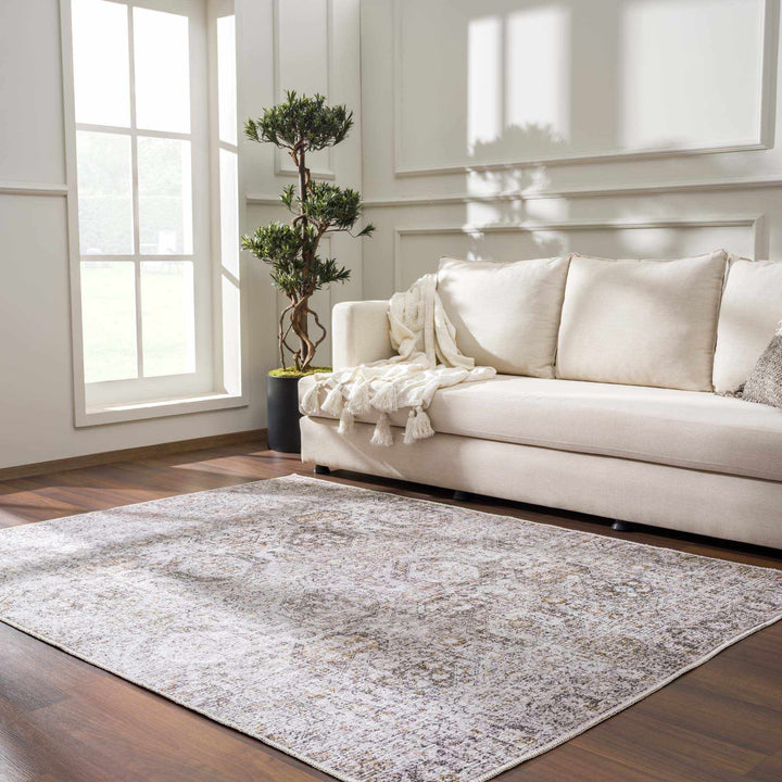 Traditional Style Gray Washable Area Rug - The Rug Decor