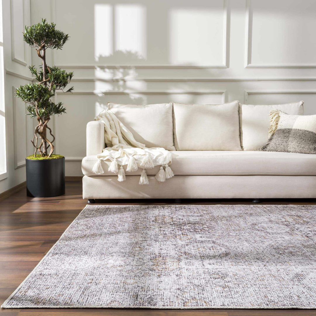 Traditional Style Gray Washable Area Rug - The Rug Decor