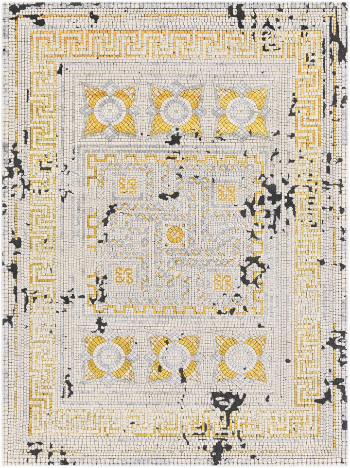 Traditional Style Silver And Mustard Area Rug - The Rug Decor