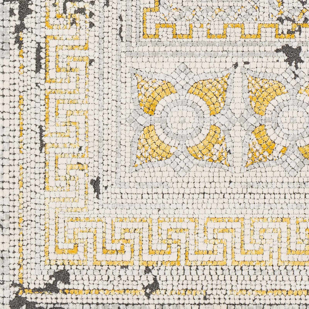 Traditional Style Silver And Mustard Area Rug - The Rug Decor