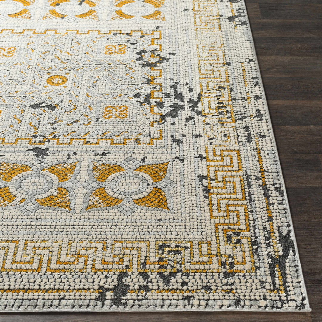 Traditional Style Silver And Mustard Area Rug - The Rug Decor
