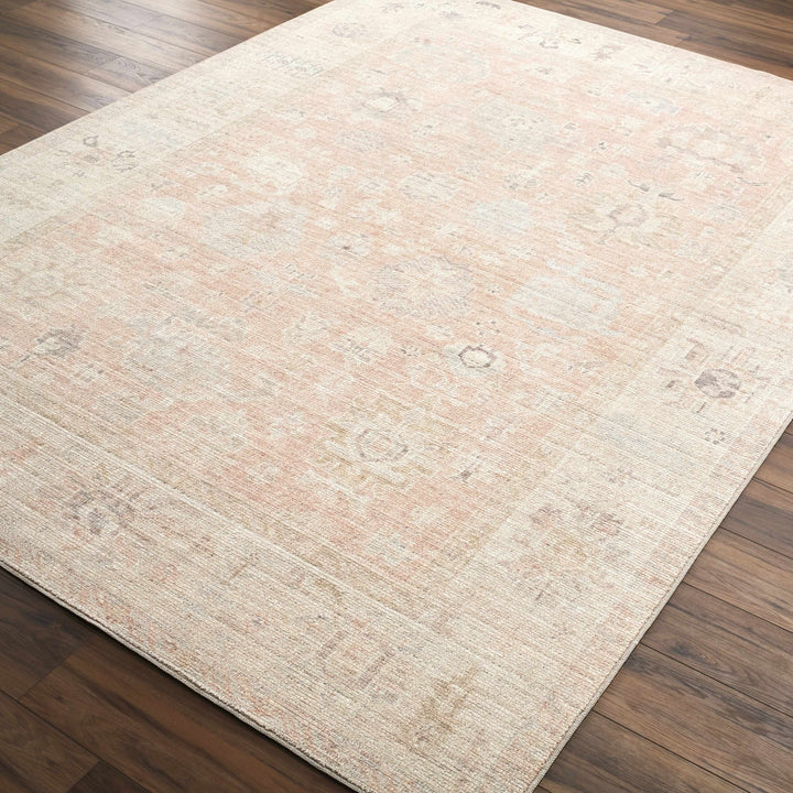 Traditional Style Tan Blush Area Rug - The Rug Decor