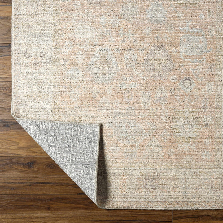 Traditional Style Tan Blush Area Rug - The Rug Decor
