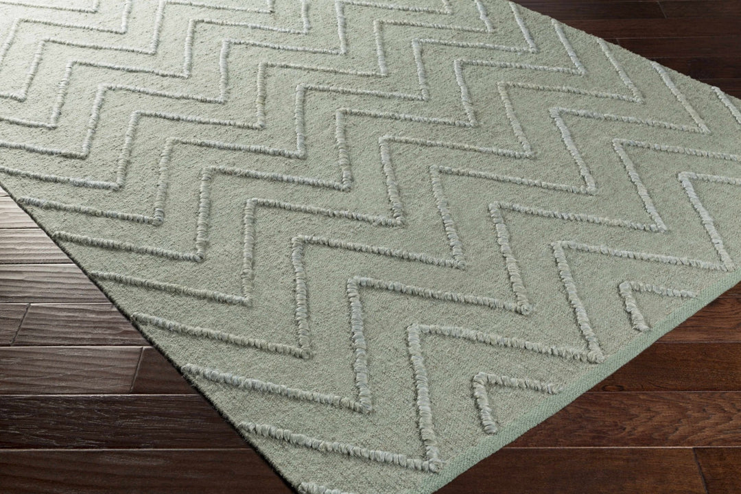 Trampas Modern Chevron Pattern Green Hand Woven Jute Area Rug - The Rug Decor