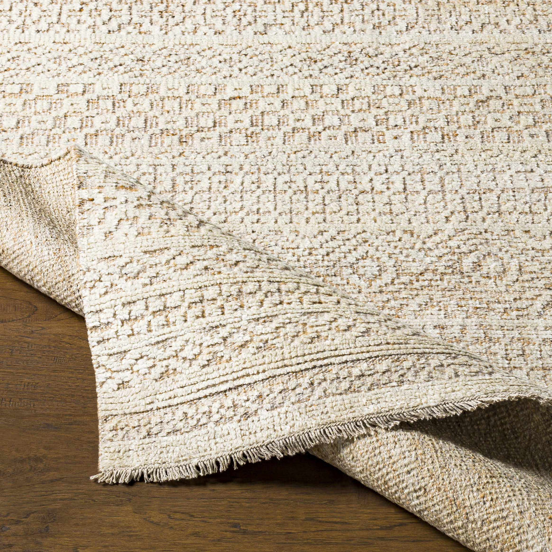 Tranmere Beige Modern Style Hand Knotted Area Rug