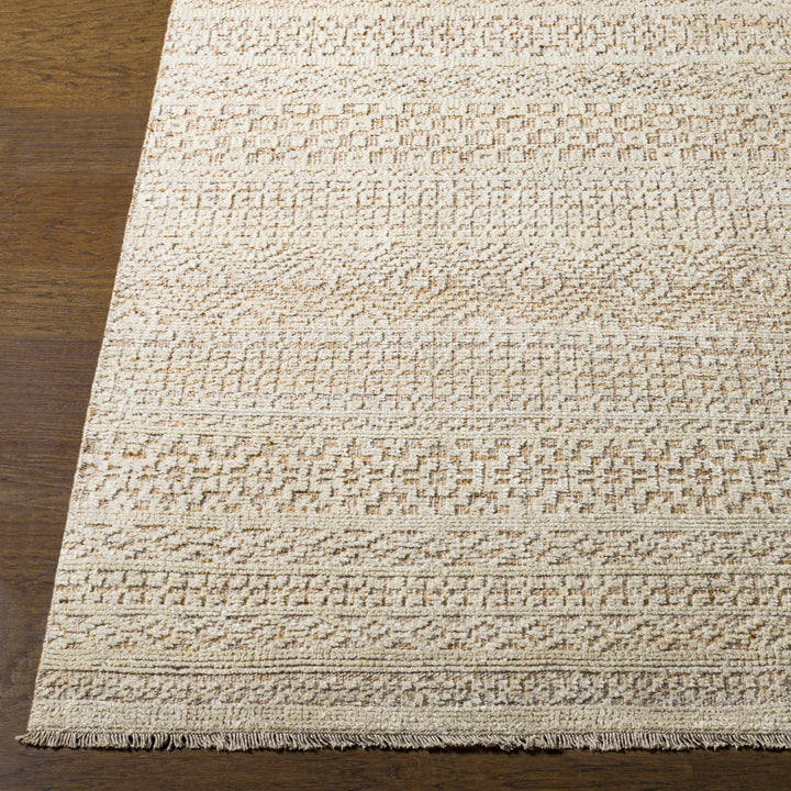 Tranmere Beige Modern Style Hand Knotted Area Rug