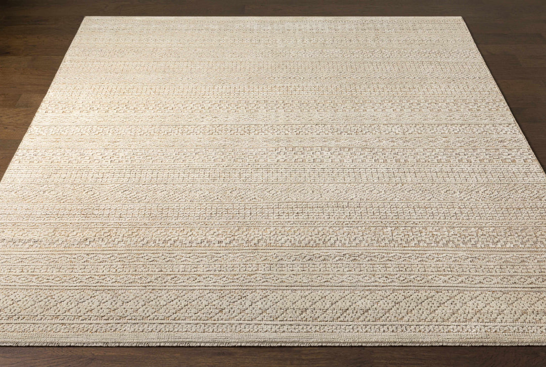 Tranmere Beige Modern Style Hand Knotted Area Rug