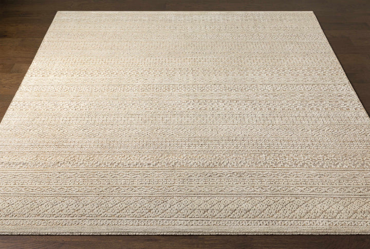 Tranmere Beige Modern Style Hand Knotted Area Rug