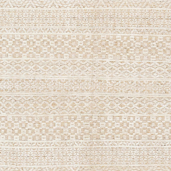 Tranmere Beige Modern Style Hand Knotted Area Rug