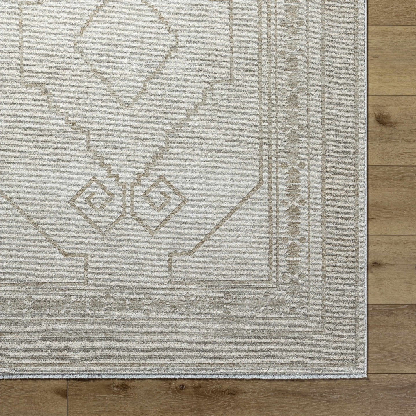 Transitional Bohemian Silver Machine Woven Rug - The Rug Decor