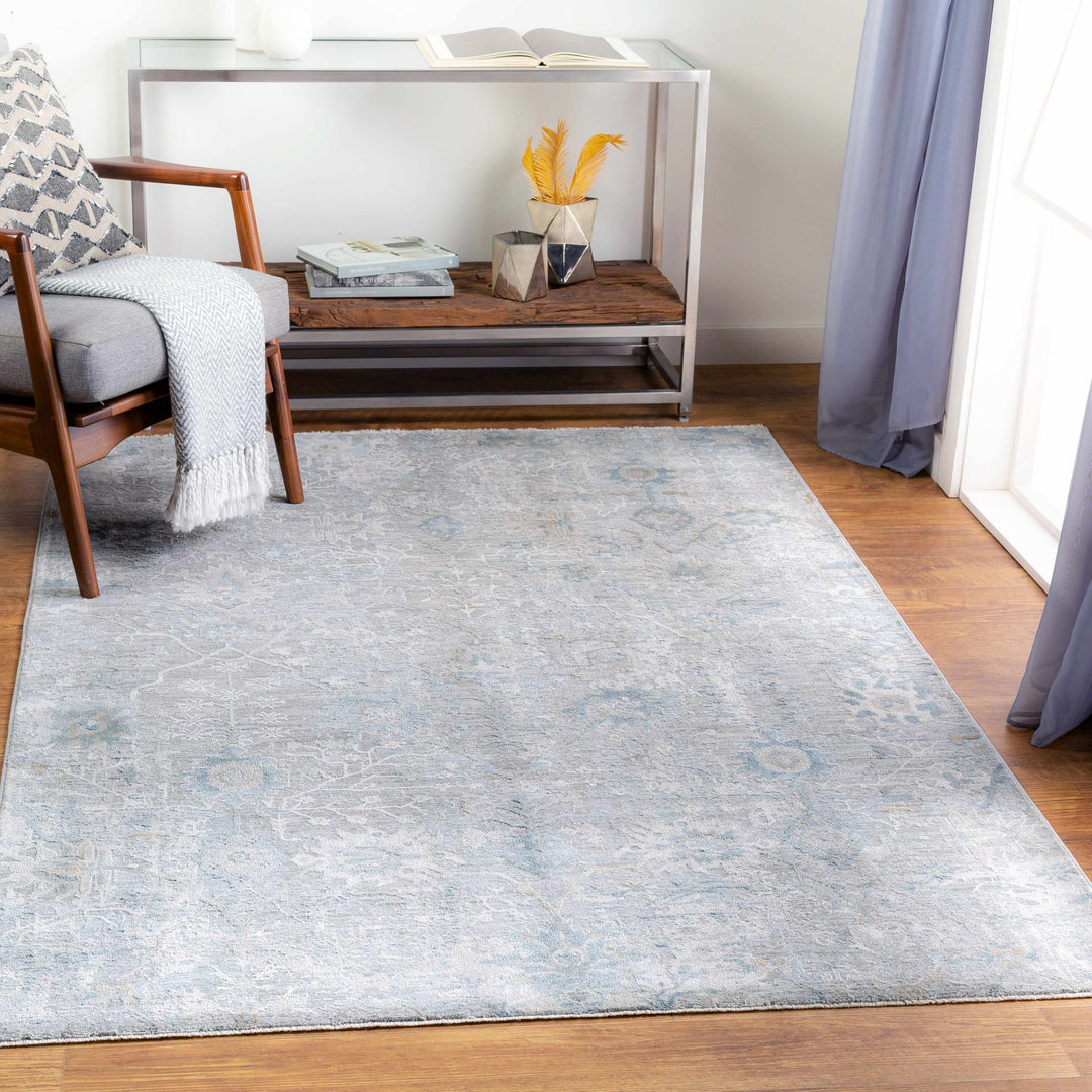 Transitional Gray And Beige Contemporary Area Rug - The Rug Decor