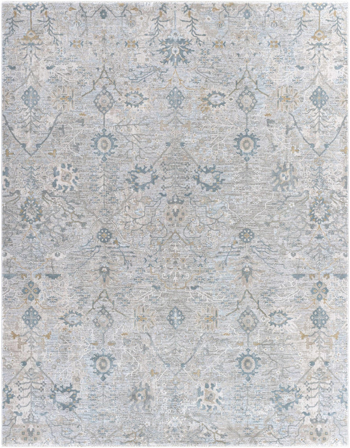 Transitional Gray And Beige Contemporary Area Rug - The Rug Decor