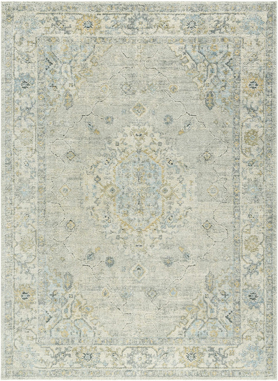 Transitional Medallion Style Gray Area Rug - The Rug Decor