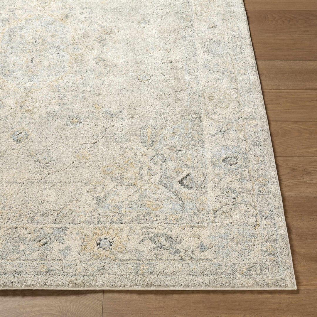 Transitional Medallion Style Gray Area Rug - The Rug Decor
