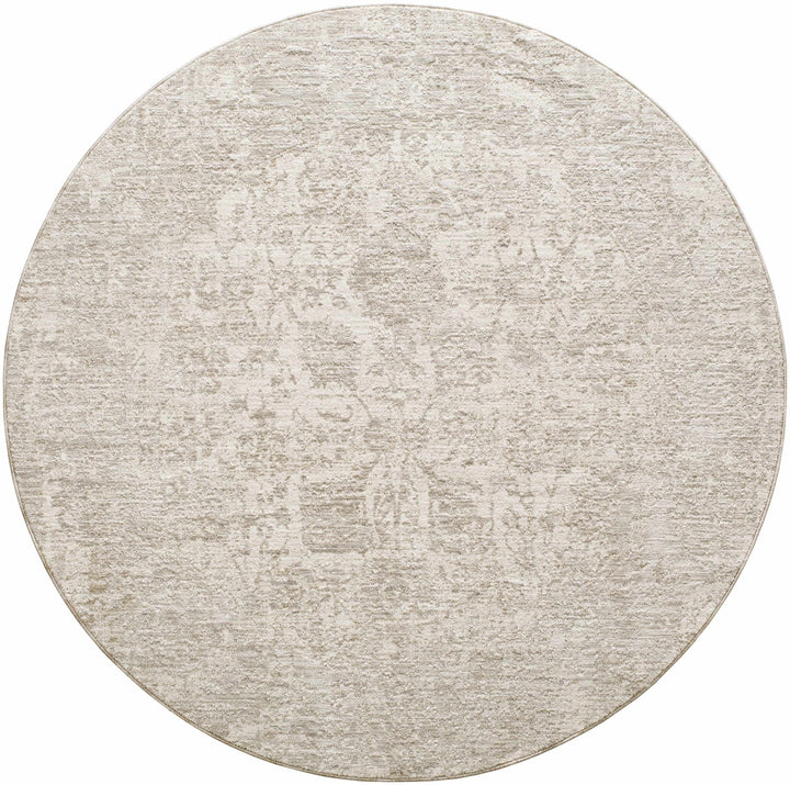 Transitional Style Gray Machine Woven Rug - The Rug Decor