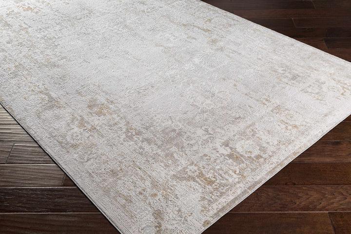 Transitional Style Ivory Gray Machine Woven Area Rug - The Rug Decor