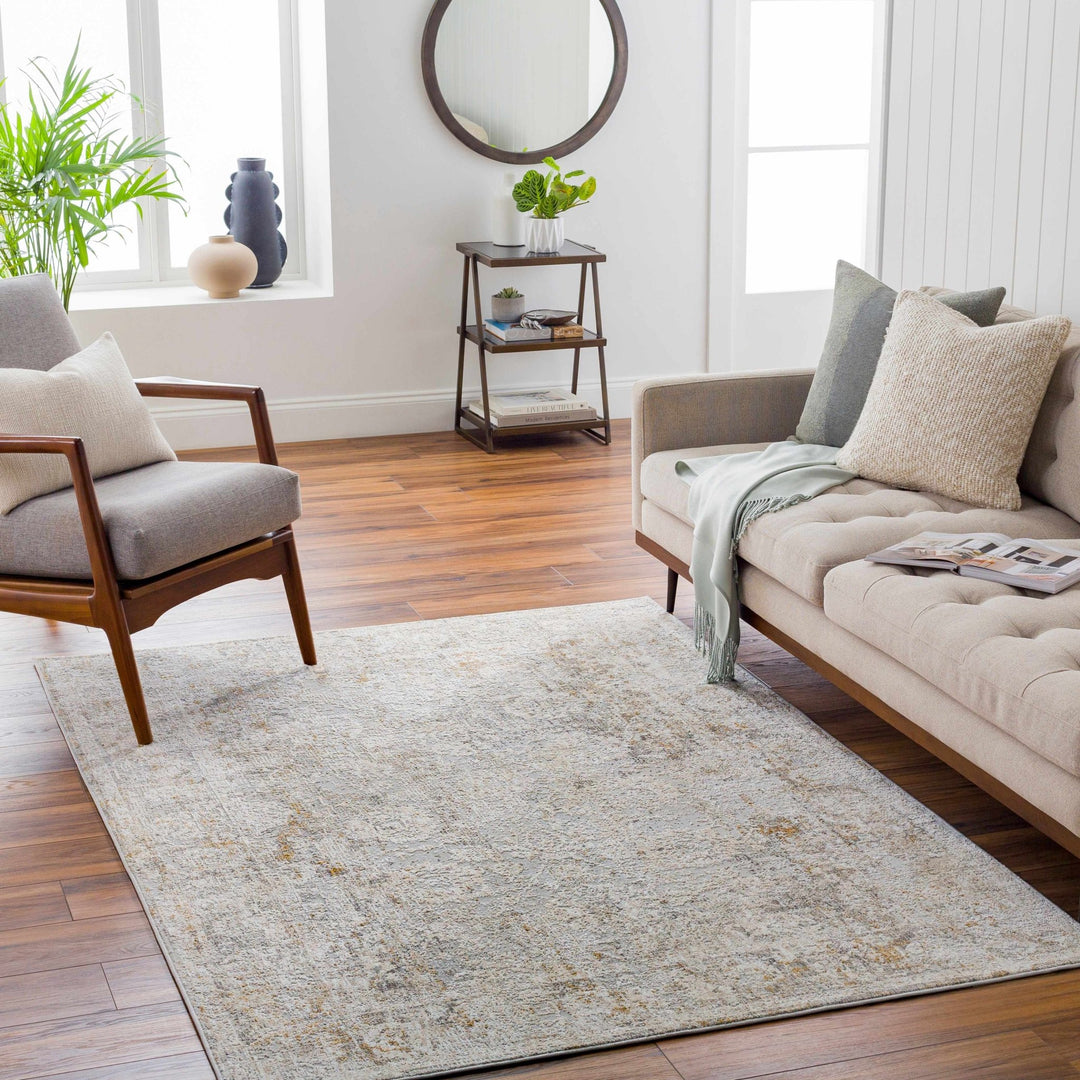 Transitional Style Ivory Gray Machine Woven Area Rug - The Rug Decor