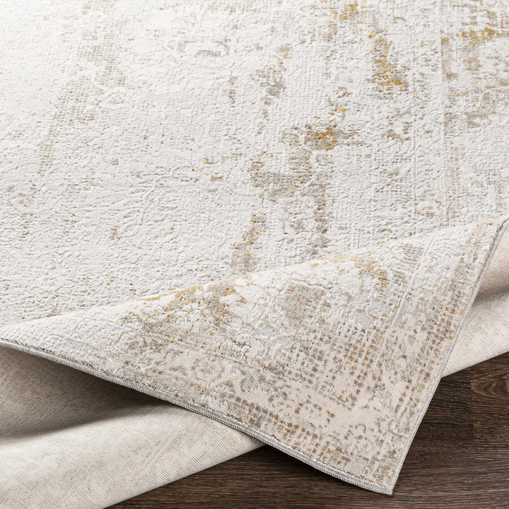 Transitional Style Ivory Gray Machine Woven Area Rug - The Rug Decor