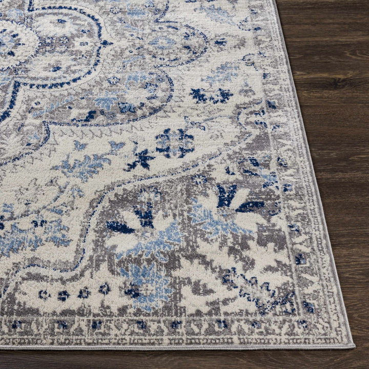 Treharris Gray And Blue Traditional Style Area Rug - The Rug Decor