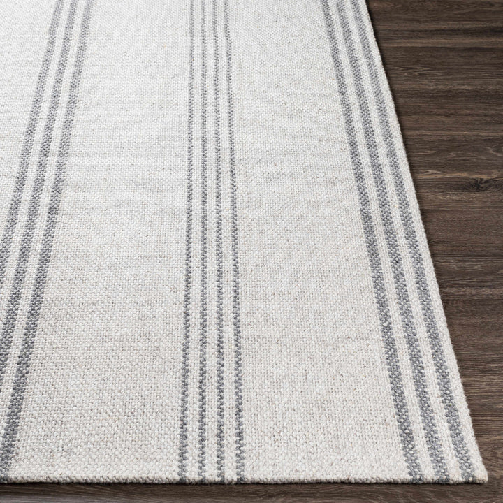 Treichlers Gray Modern Stripes Design Hand Woven Area Rug