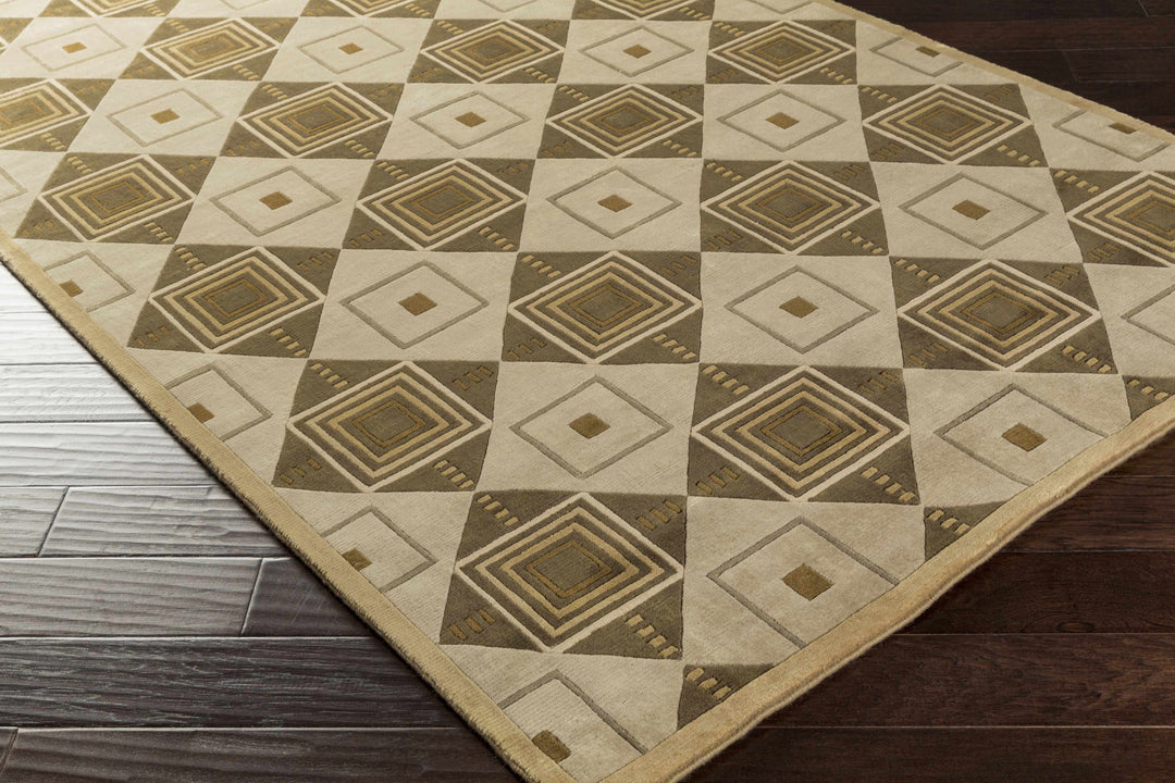 Tribune Contemporay Style Beige & Brown Hand Knotted Wool Area Rug