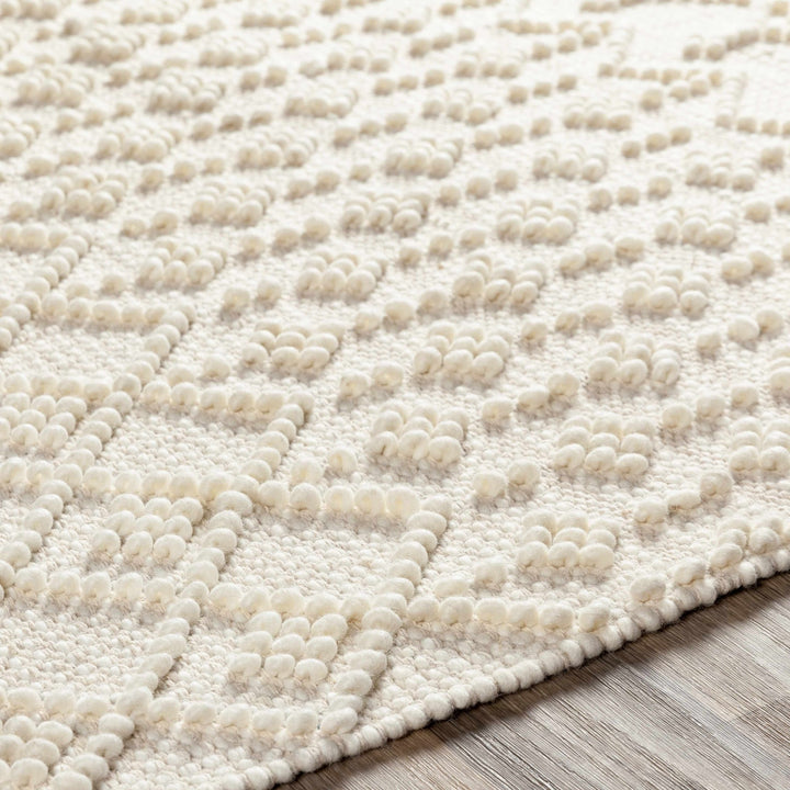 Tribal look Tassels Textured Beige, white Hand woven Wool and Cotton Area Rug - The Rug Decor