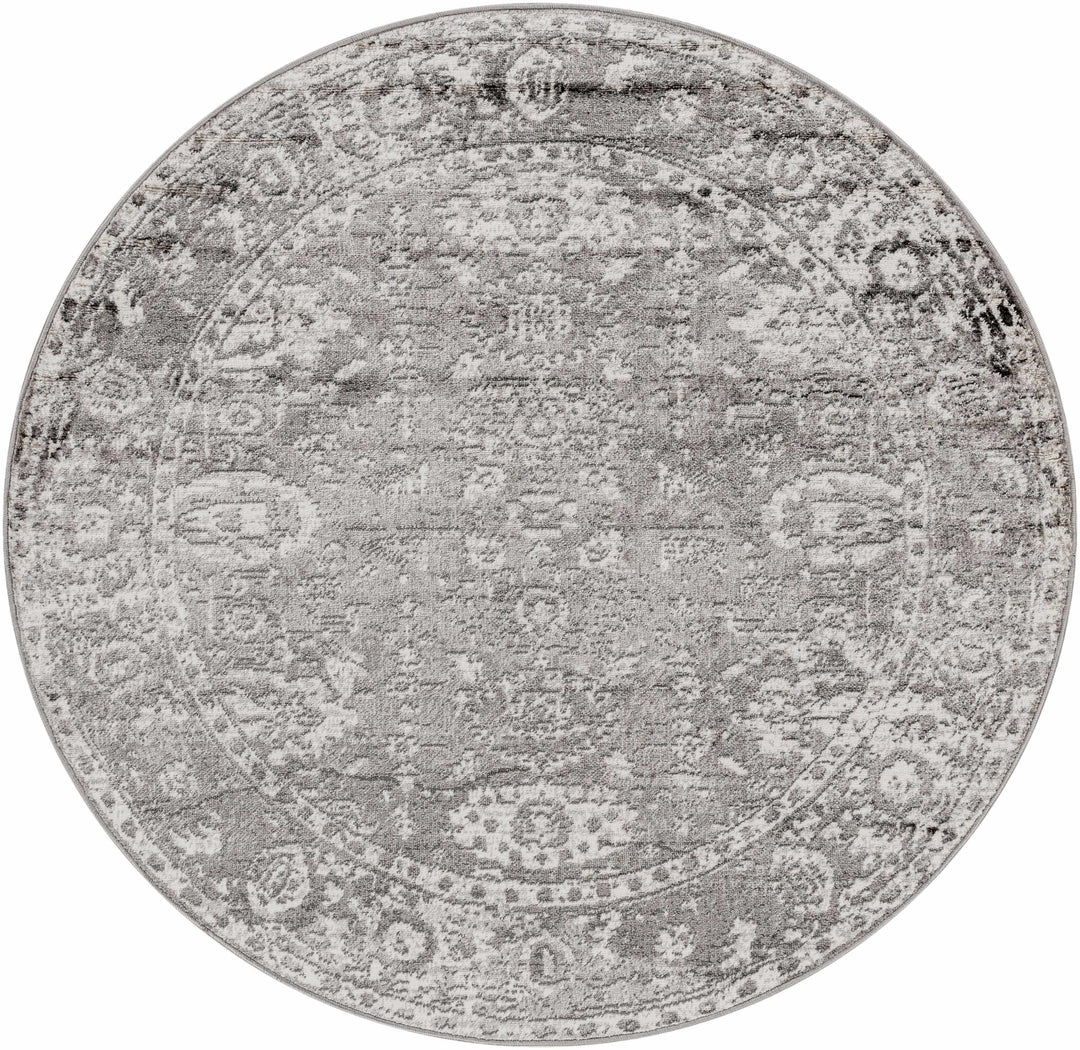 Tripp Gray Traditional Style Area Rug