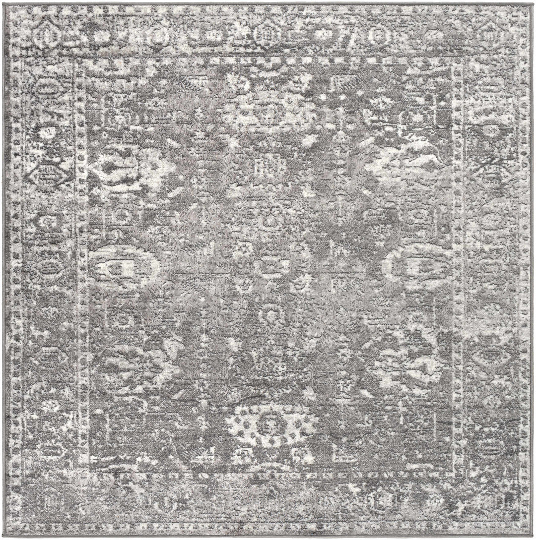 Tripp Gray Traditional Style Area Rug