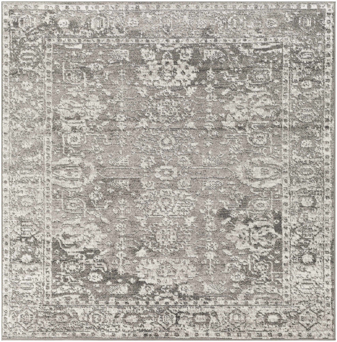Tripp Gray Traditional Style Area Rug
