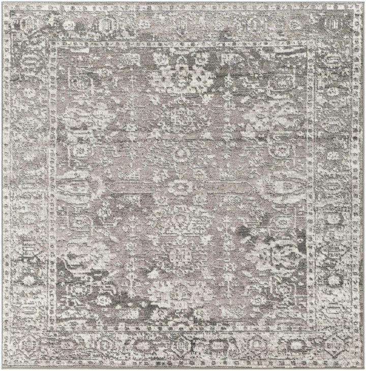 Tripp Gray Traditional Style Area Rug