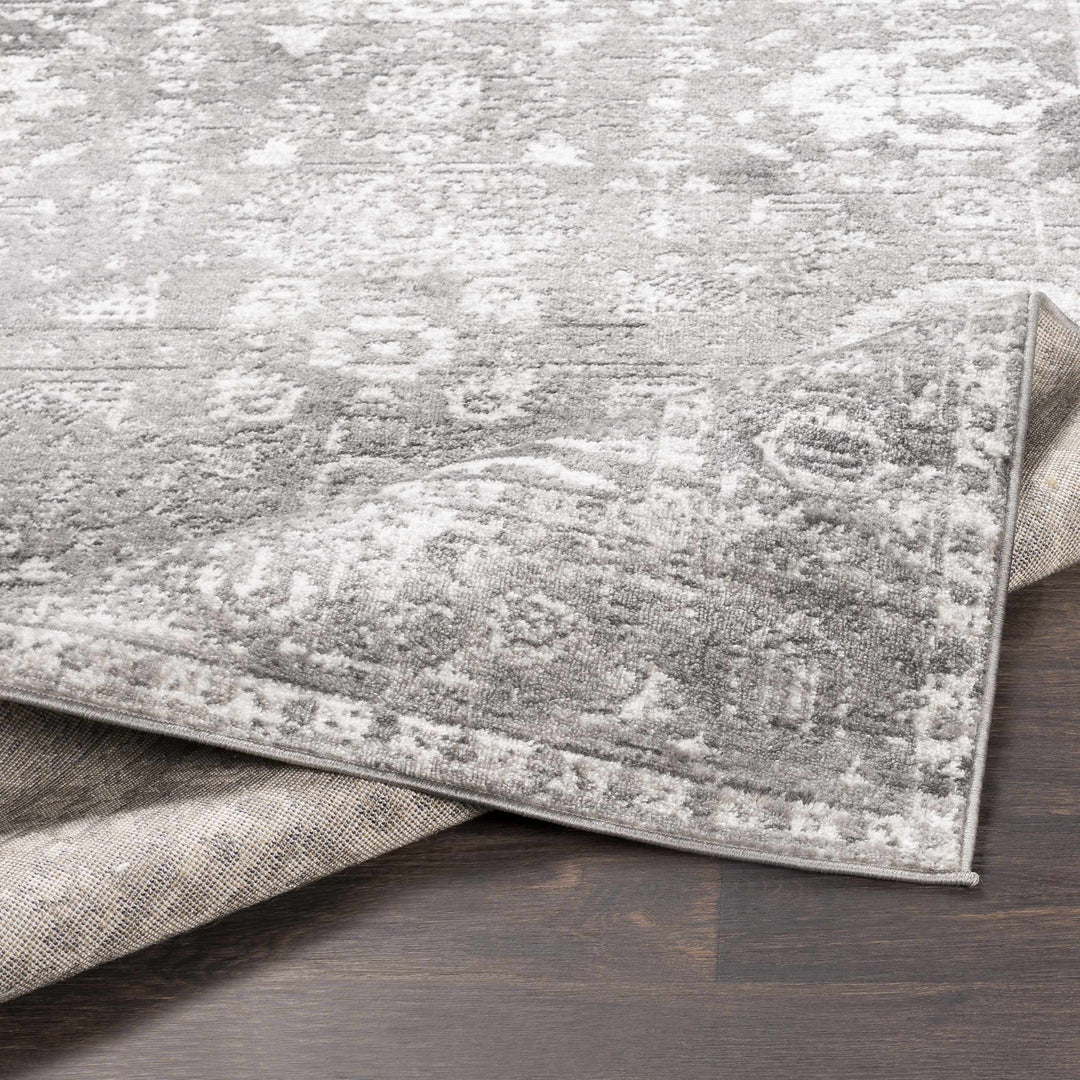 Tripp Gray Traditional Style Area Rug