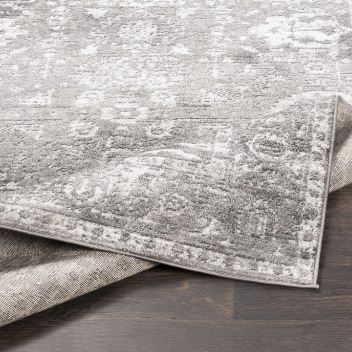 Tripp Gray Traditional Style Area Rug