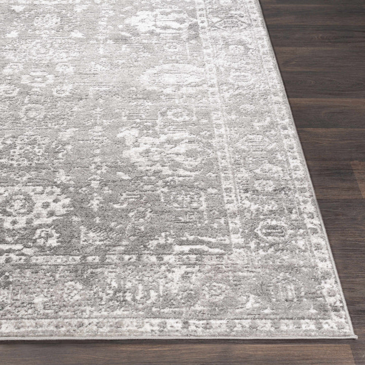 Tripp Gray Traditional Style Area Rug