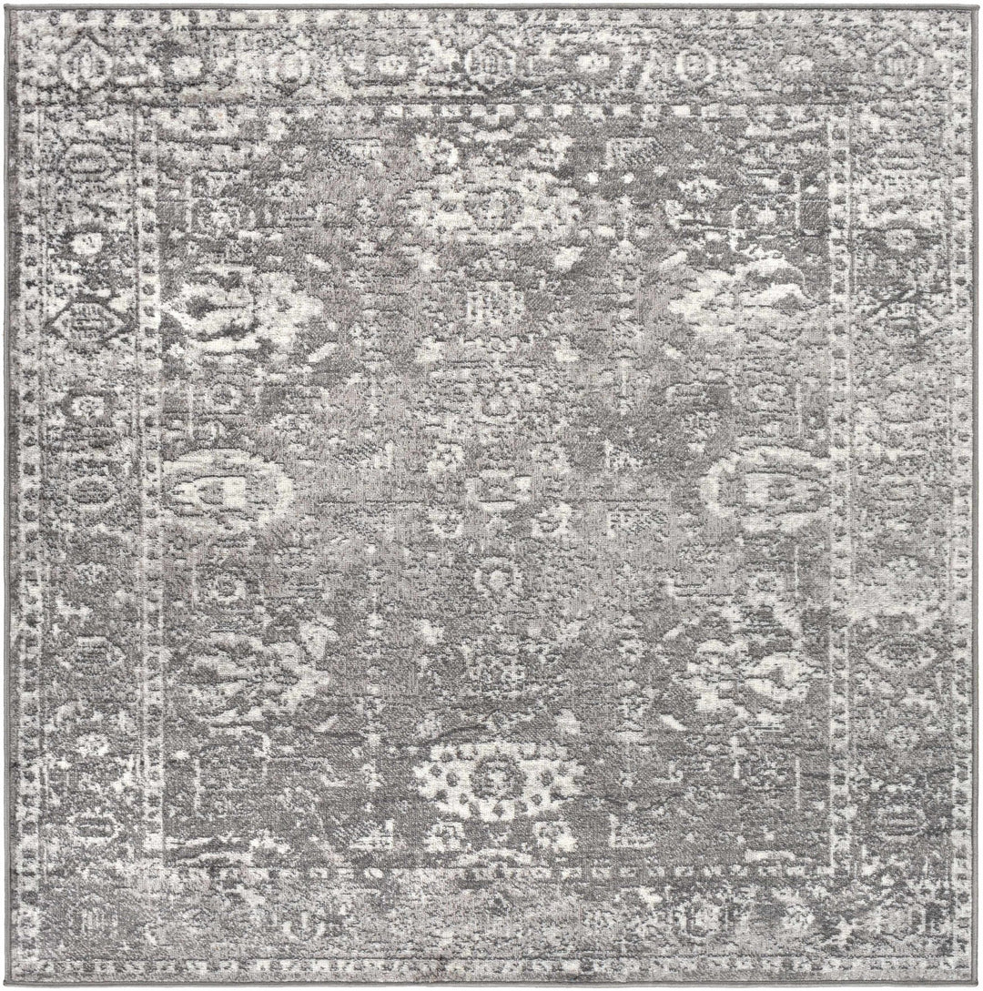 Tripp Gray Traditional Style Area Rug - The Rug Decor