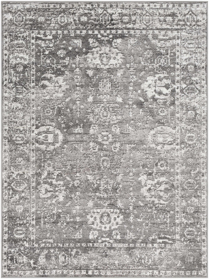 Tripp Gray Traditional Style Area Rug - The Rug Decor