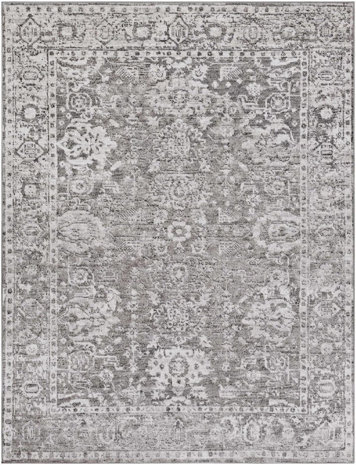 Tripp Gray Traditional Style Area Rug - The Rug Decor