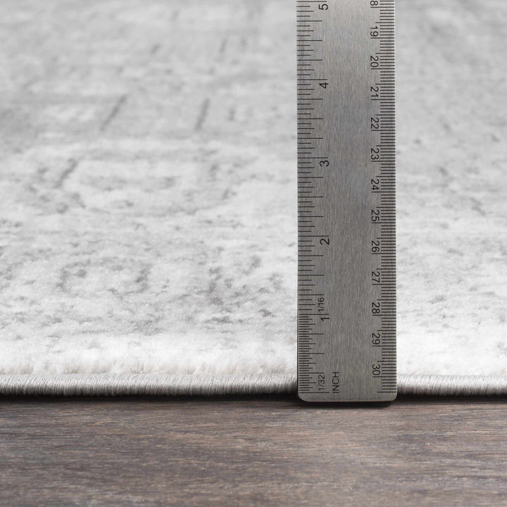 Tripp Gray Traditional Style Area Rug