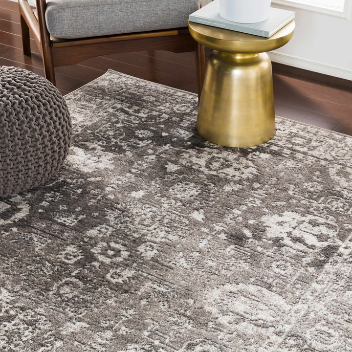Tripp Gray Traditional Style Area Rug