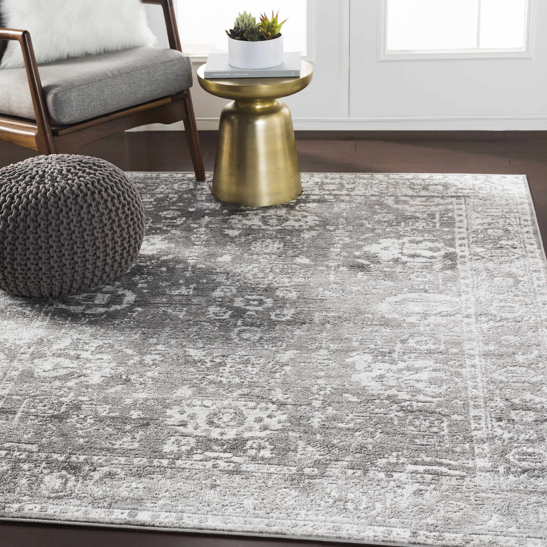 Tripp Gray Traditional Style Area Rug