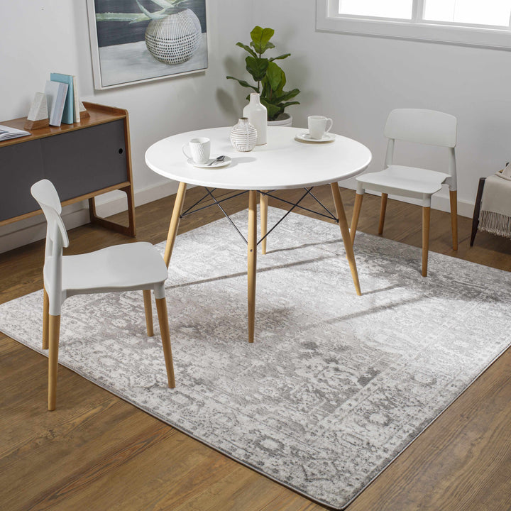 Tripp Gray Traditional Style Area Rug