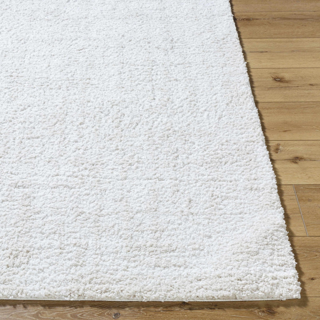Troya Contemporary Solid Ivory And Gray Rug - The Rug Decor