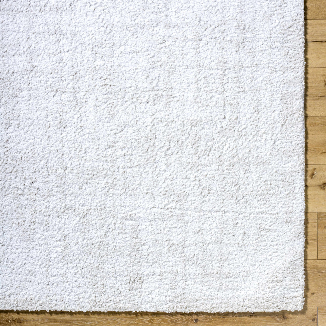 Troya Contemporary Solid Ivory And Gray Rug - The Rug Decor